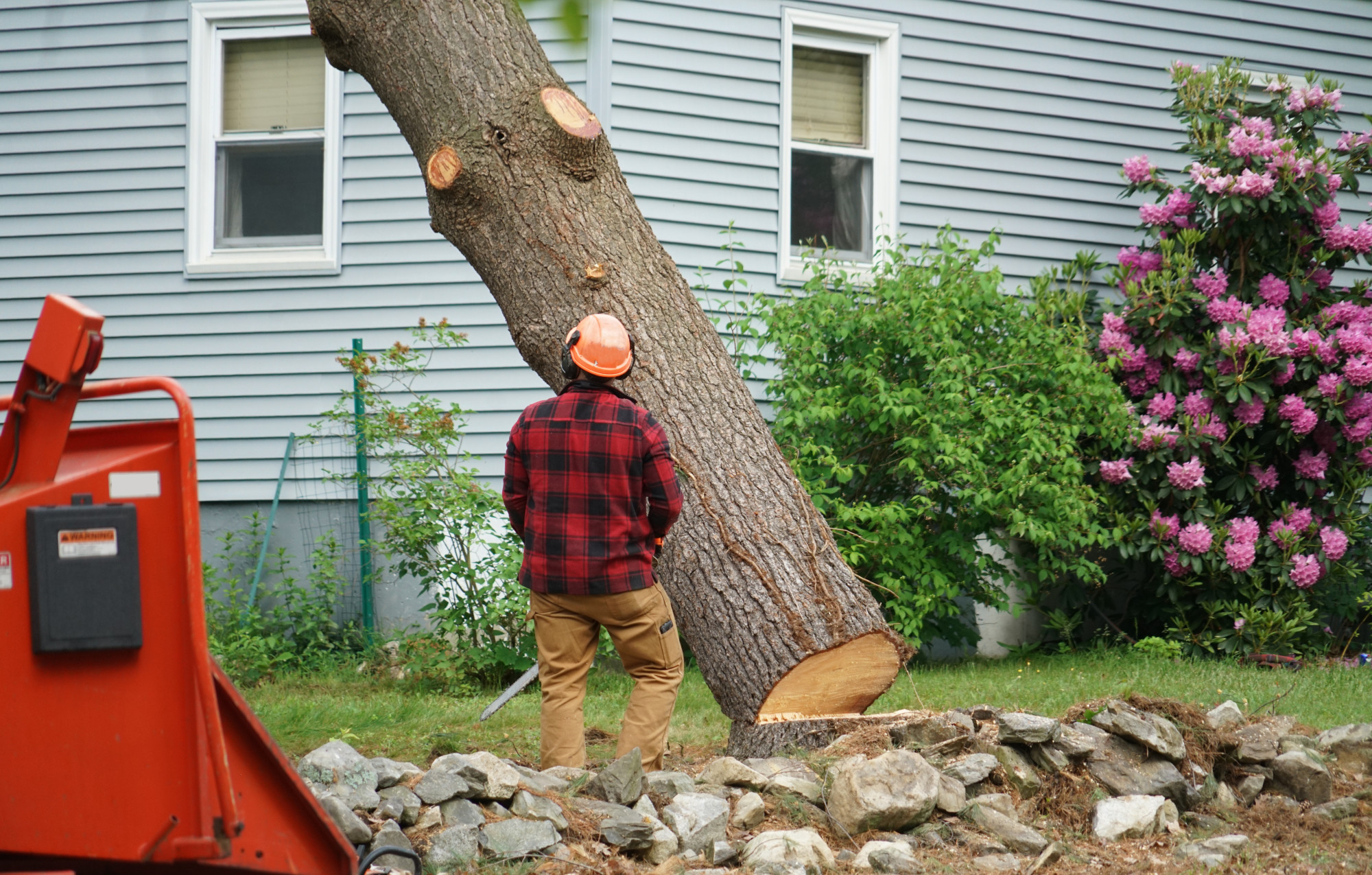 Tree Removal Woodstock Ga